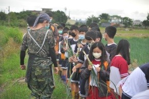 「拔蔥體驗」