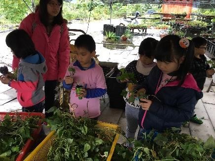 在地文化生態學習之旅(冬山大進社區生態中心與石板屋-神隱村農場)