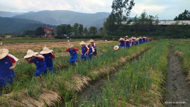 2-1(東興國小)龍泉踏查三星採 蔥行