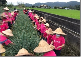 五分情懷、蔥滿幸福