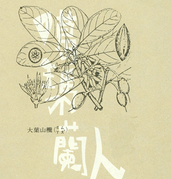 探索民族植物誌&mdash;以宜蘭縣噶瑪蘭族民俗植物之應用為例