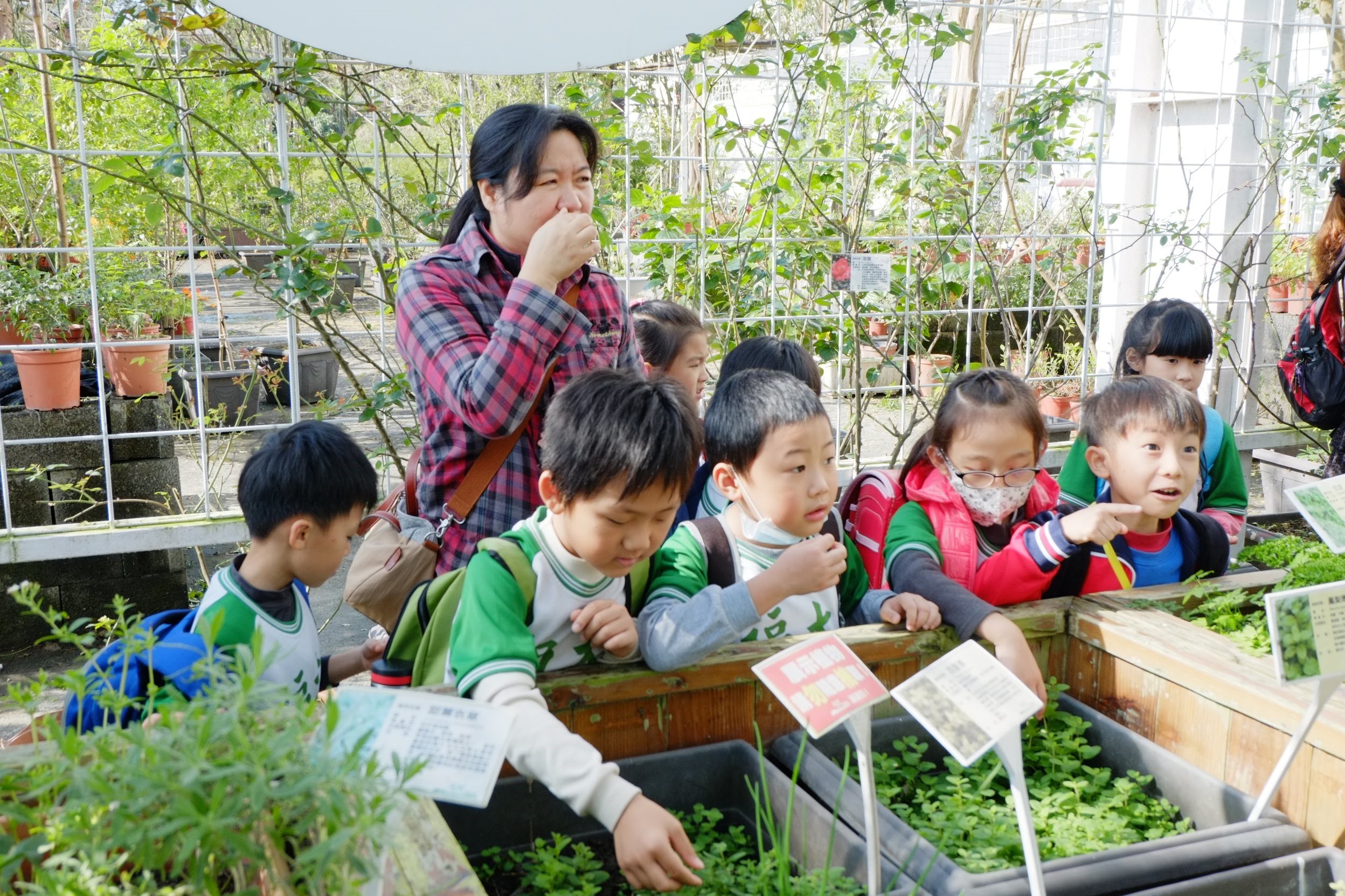 聞香樂活走(香草菲菲)